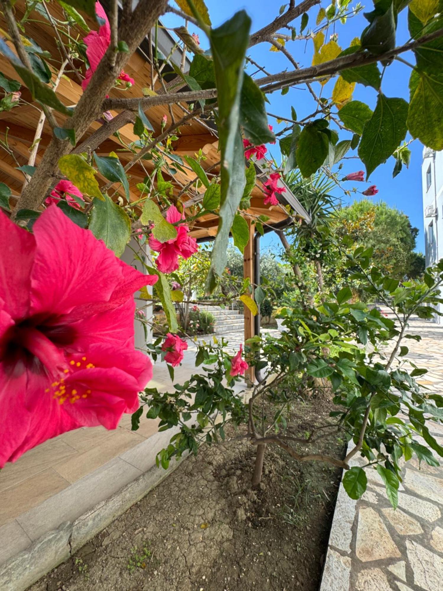 Hotel Cekodhima Radhimë Dış mekan fotoğraf